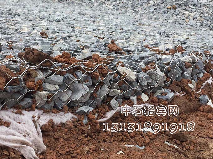 雙隔板雷諾護(hù)墊13131891918